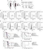 CD152 (CTLA-4) Antibody in Flow Cytometry (Flow)