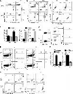 CD8a Antibody in Flow Cytometry (Flow)