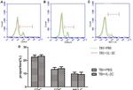 CD8a Antibody in Flow Cytometry (Flow)