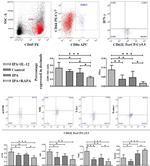 CD8a Antibody in Flow Cytometry (Flow)