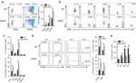 CD8a Antibody in Flow Cytometry (Flow)