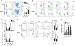 IL-2 Antibody in Flow Cytometry (Flow)