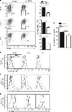 CD19 Antibody in Flow Cytometry (Flow)