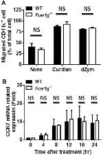 CD11c Antibody in Flow Cytometry (Flow)