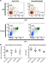 CD8a Antibody in Flow Cytometry (Flow)