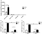 CD8a Antibody in Flow Cytometry (Flow)