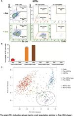 CD41a Antibody in Flow Cytometry (Flow)