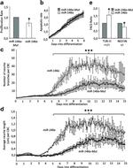 beta-3 Tubulin Antibody in Flow Cytometry (Flow)