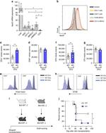 MHC Class II (I-A/I-E) Antibody in Flow Cytometry (Flow)