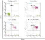 CD11c Antibody in Flow Cytometry (Flow)