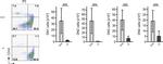 CD19 Antibody in Flow Cytometry (Flow)