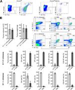 CD19 Antibody in Flow Cytometry (Flow)