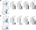 CD19 Antibody in Flow Cytometry (Flow)