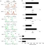 CD11c Antibody in Flow Cytometry (Flow)