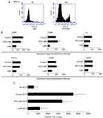 CD11c Antibody in Flow Cytometry (Flow)