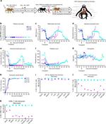 CD20 Antibody in Flow Cytometry (Flow)