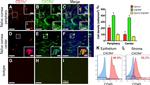 CD184 (CXCR4) Antibody in Flow Cytometry (Flow)