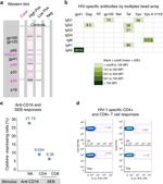 CD16 Antibody in T-Cell Activation (TCA)