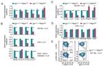 CD19 Antibody in Flow Cytometry (Flow)