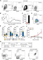 CD19 Antibody in Flow Cytometry (Flow)