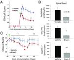 CD4 Antibody in Flow Cytometry (Flow)