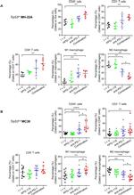 CD3 Antibody in Flow Cytometry (Flow)