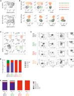 CD135 (Flt3) Antibody in Flow Cytometry (Flow)