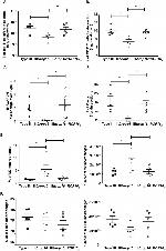 CD44 Antibody in Flow Cytometry (Flow)