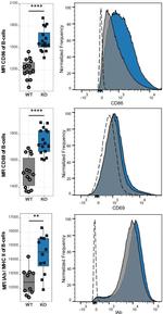 MHC Class II I-Ab Antibody in Flow Cytometry (Flow)