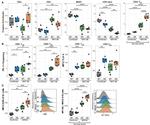 CD152 (CTLA-4) Antibody in Flow Cytometry (Flow)