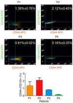 CD44 Antibody in Flow Cytometry (Flow)