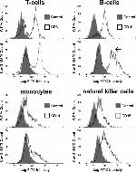 CD19 Antibody in Flow Cytometry (Flow)