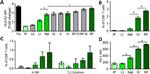 IL-2 Antibody in Flow Cytometry (Flow)