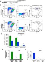 CD29 (Integrin beta 1) Antibody in Flow Cytometry (Flow)