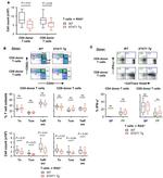 CD8a Antibody in Flow Cytometry (Flow)