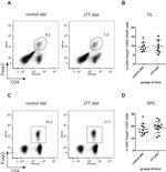 FOXP3 Antibody in Flow Cytometry (Flow)