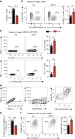 IL-13 Antibody in Flow Cytometry (Flow)