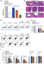 CD4 Antibody in Flow Cytometry (Flow)