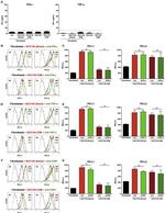 CD274 (PD-L1, B7-H1) Antibody in Flow Cytometry (Flow)