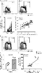 CD279 (PD-1) Antibody in Flow Cytometry (Flow)