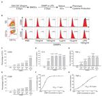 CD40 Antibody in Flow Cytometry (Flow)