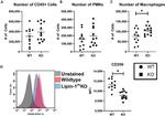 F4/80 Antibody in Flow Cytometry (Flow)