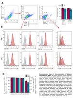 MHC Class II I-Ab Antibody in Flow Cytometry (Flow)