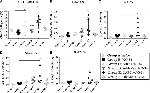 IFN gamma Antibody in Flow Cytometry (Flow)