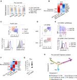 CD197 (CCR7) Antibody in Flow Cytometry (Flow)