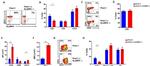 CD69 Antibody in Flow Cytometry (Flow)