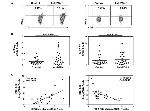 CD274 (PD-L1, B7-H1) Antibody in Flow Cytometry (Flow)