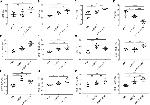 TNF alpha Antibody in Flow Cytometry (Flow)