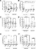 BRCA1 Antibody in Immunocytochemistry (ICC/IF)