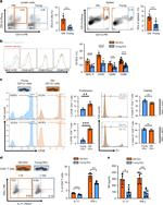 CD11b Antibody in Flow Cytometry (Flow)